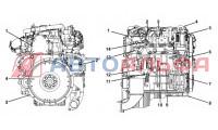 Двигатель Cummins серии ISF2.8 131 HEAVY - схема 2