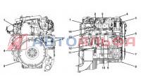Двигатель Cummins серии ISF3.8 143 - схема 2