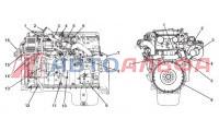 Двигатель Cummins серии ISX15 500 - схема
