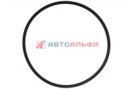 175.121 Кольцо уплотнительное КАМАЗ дв. Cummins ISBe, ВТ 3906252, 5307960 (компрессор воздушный) - CAMIDA - 194х130