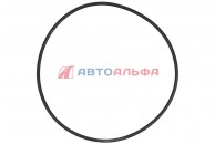 175.126 Кольцо уплотнительное (блок цилиндров) КАМАЗ дв. Cummins ISLe, L 3926048 - CAMIDA - 194х130